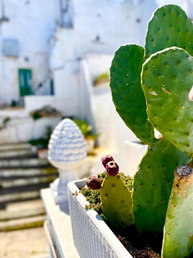 Belle Home Ostuni Vasca Vista Mare Luaran gambar